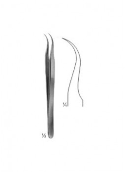 Forceps